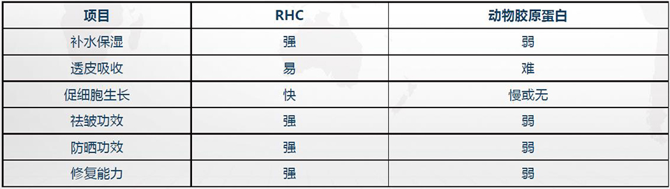 ����У��ϵ����