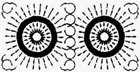 �L���γأ��L������2:1��