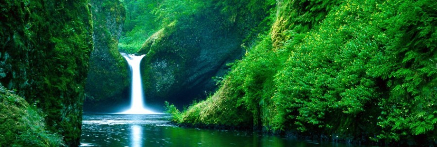 �ۺ����(w��)